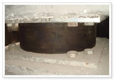 ����֧��